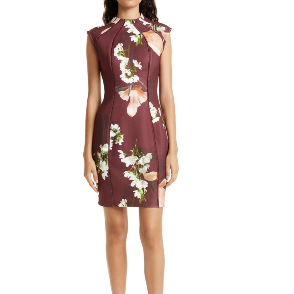 NWOT Ted Baker London Zassha Floral Sheath Dress